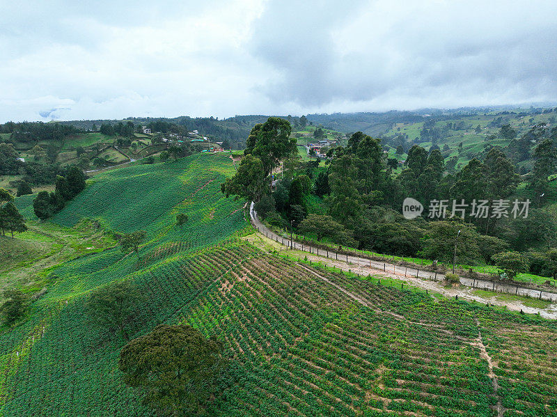 Farm on the outskirts of Medellín, Colombia